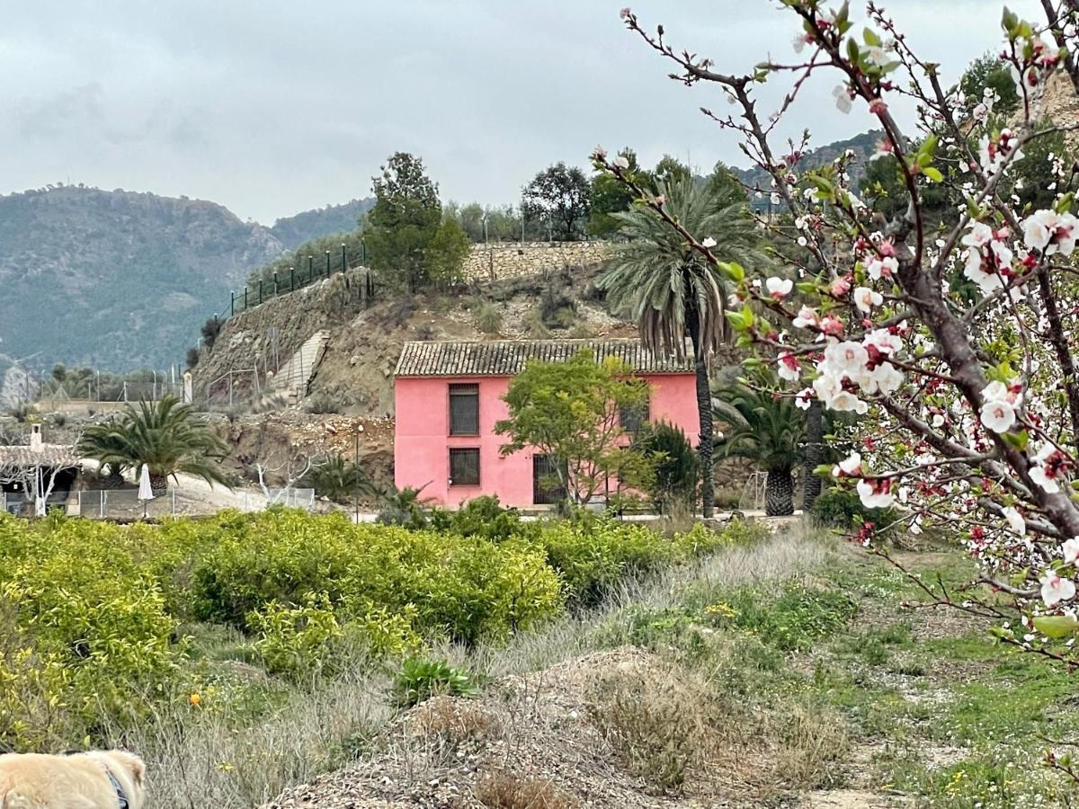Casa Ramoncico. Finca el Campillo Blanca Exterior foto